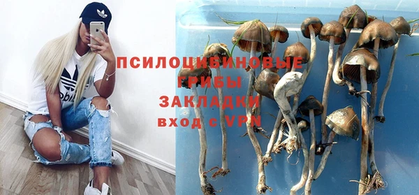героин Алексин