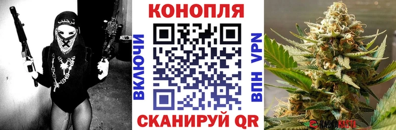 Конопля марихуана  Отрадная 